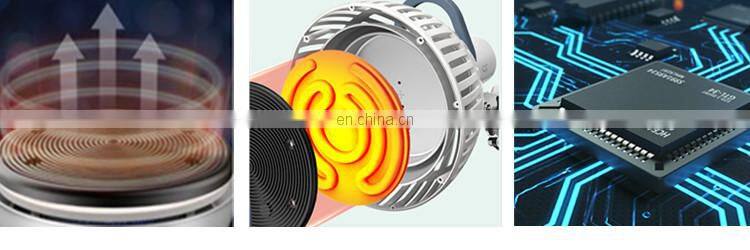 Therapeutic Apparatus TDP Far Infrared Mineral Heat Therapy TDP Lamp with Changeable Head For Head Arthritis Joint Back Relief