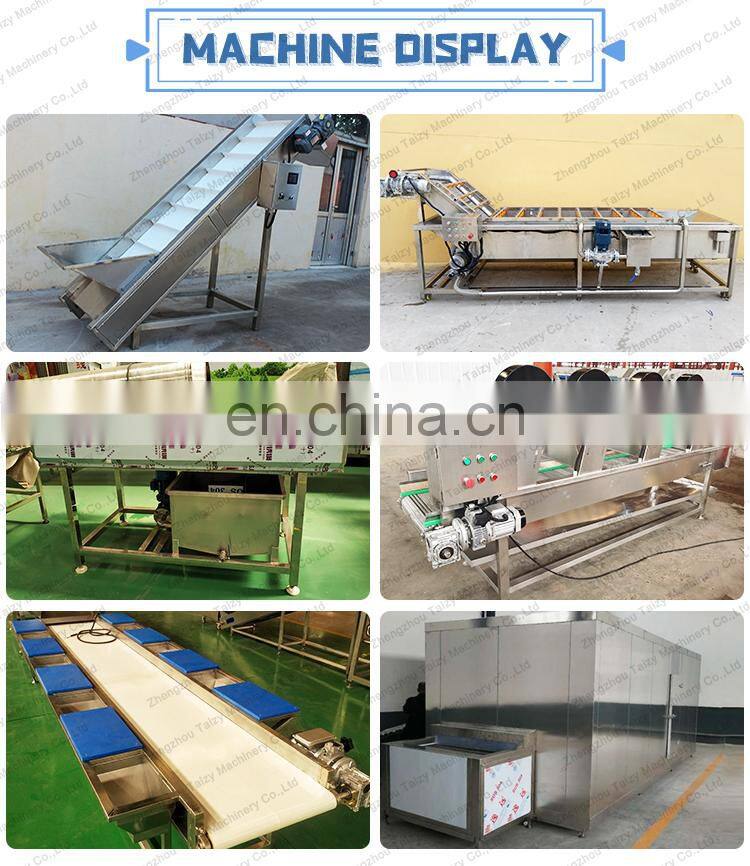 Frozen Green Peas Okra Processing Line Vegetables Washing Machine