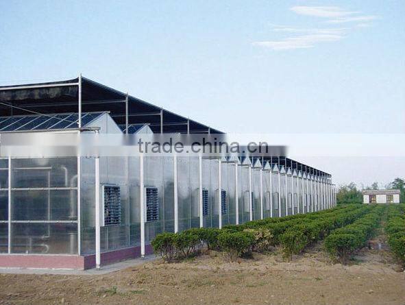 4mm twin wall polycarbonate greenhouse