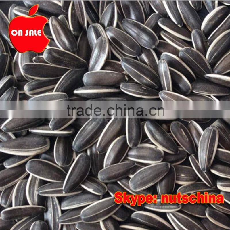 sunflower seeds 5009 24/64 26/68