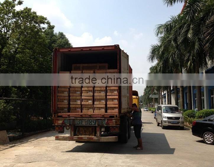 New design heat resistant light fitting explosion proof gas staion light 50w