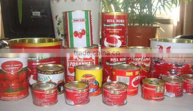 Pasta de tomate en lata/canned tomato paste