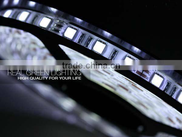 Waterproof SMD 5050 60 LEDs/M 14.4W/M 12V LED Flex Strip Light