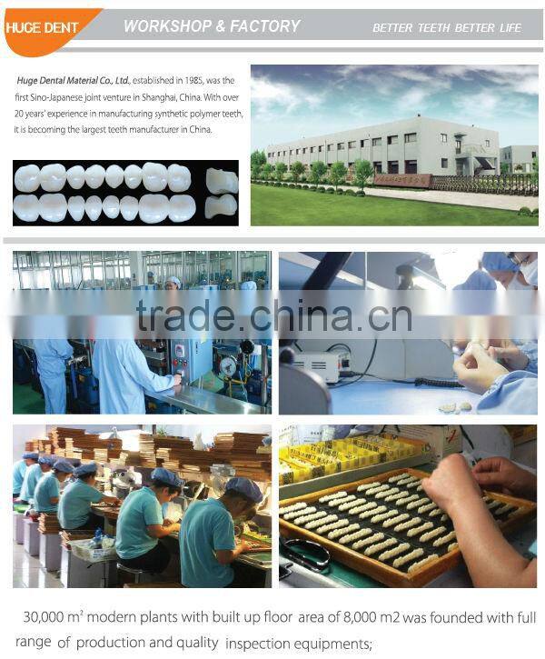 CE certificated Four layers kaiplus Synthetic polymer teeth