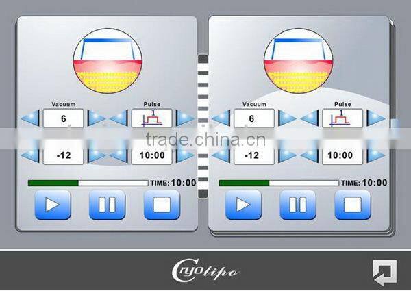 BRG80s High Quality Criolipolisis Loss Machine with 3 Cryo Handles Cryoshape