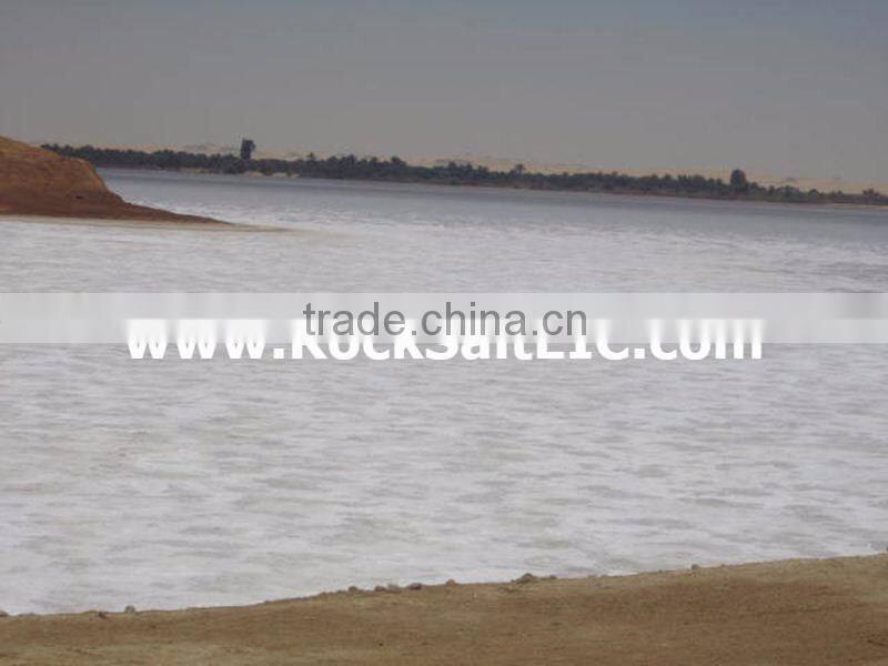 Bulk Rock Salt 98-99% NACL (EGYPT origin - white color - low moisture - no impurities - sgs certificate)