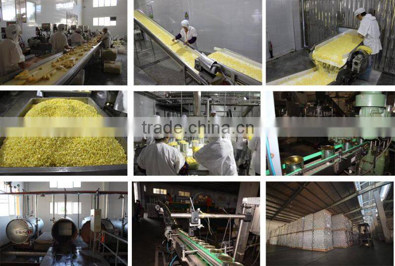 GRADE A CANNED SWEET CORN TO EROUP MARKET