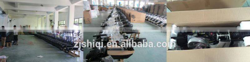 500W speedway Foldable 2 Wheel Electric Scooter For Sale/SQ-ES04