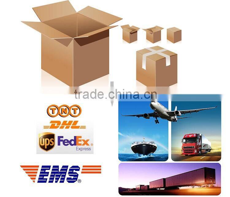 Shenzhen Manufacturer supply nano mister portable electric sprayer