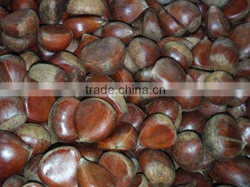 chestnut Dandong China 2014