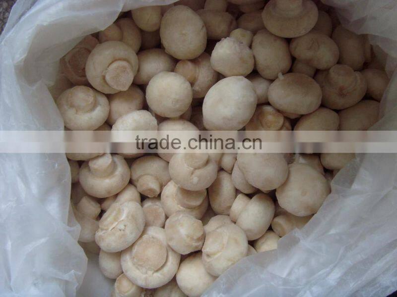Frozen mushroom champignon whole/sliced top quality
