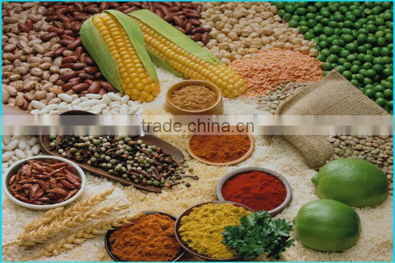 high quality disk mill 0086-13838265130