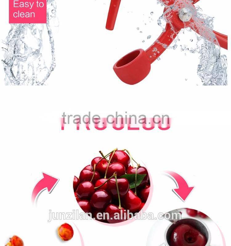 YS-8 manual garlic extract