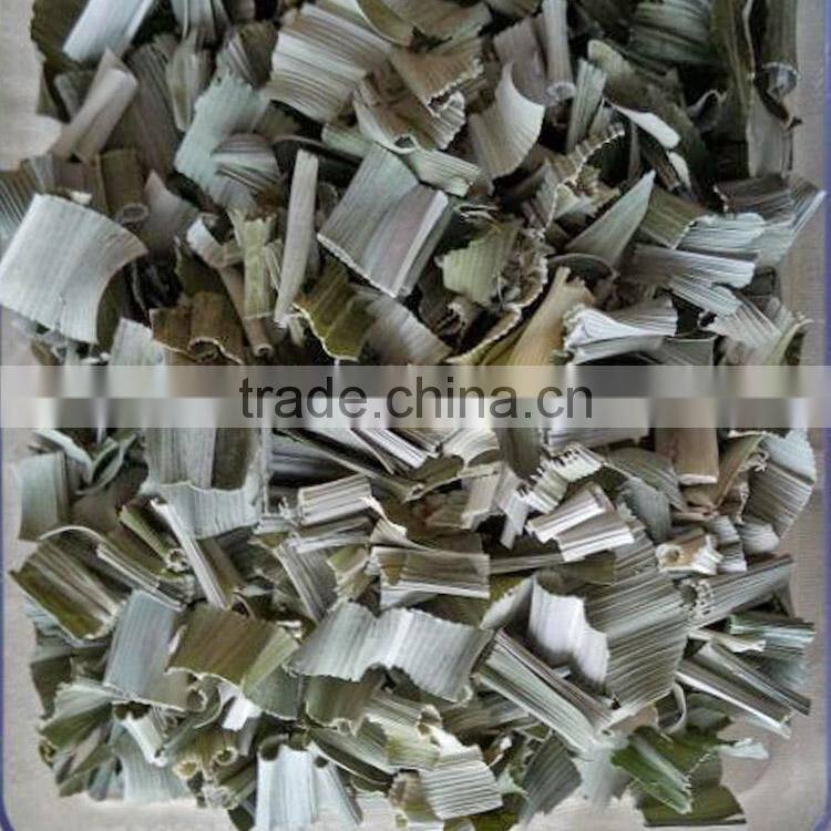 Organic Pandan Leaves Sell in Bulk