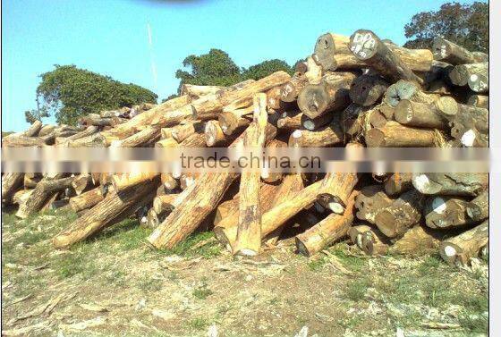 Professional wood crusher machine for making sawdust