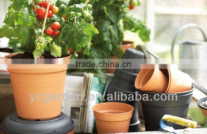 eco friendly planting pot