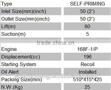 high lift gasoline water pump