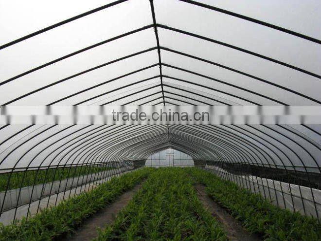 Easy Assembled Plastic Agriculture Greenhouse