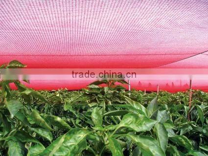 Green shade netting for greenhouse vegetable growth with good price