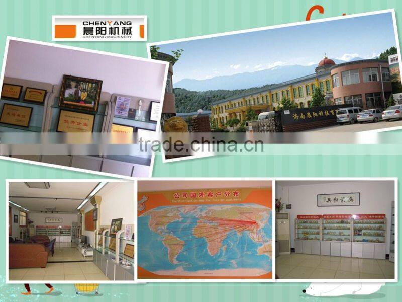 fried food production line in sack machinery