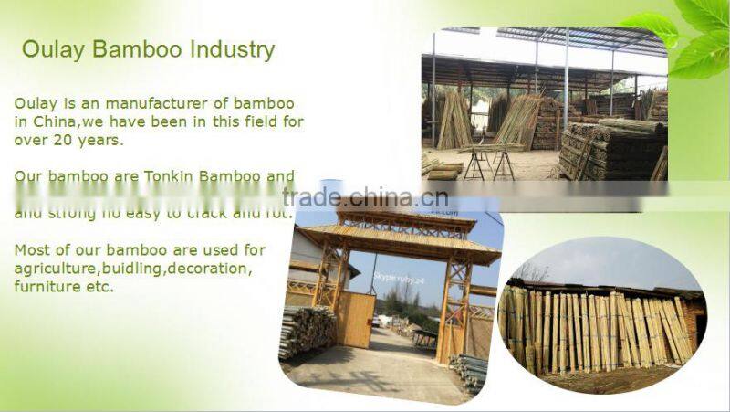 8~10mm * 120cm Dried Tonkin Bamboo Sticks