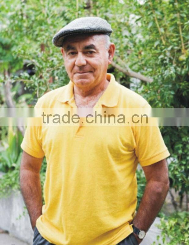 Polo T-Shirts for men in many colors and designs