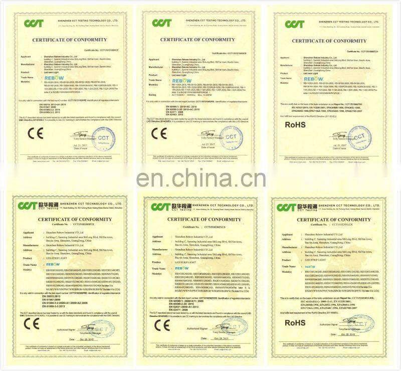 CE RoHS Approved pixel led neon flex waterproof led neon flex rgb hose for indoor or outdoor