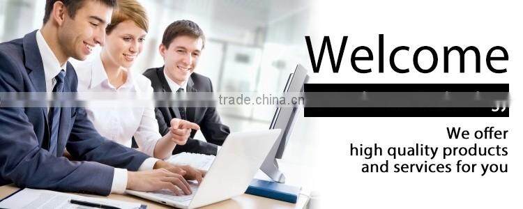 Wind Rover 4000W brushless motor big wheel smart balance electric scooter