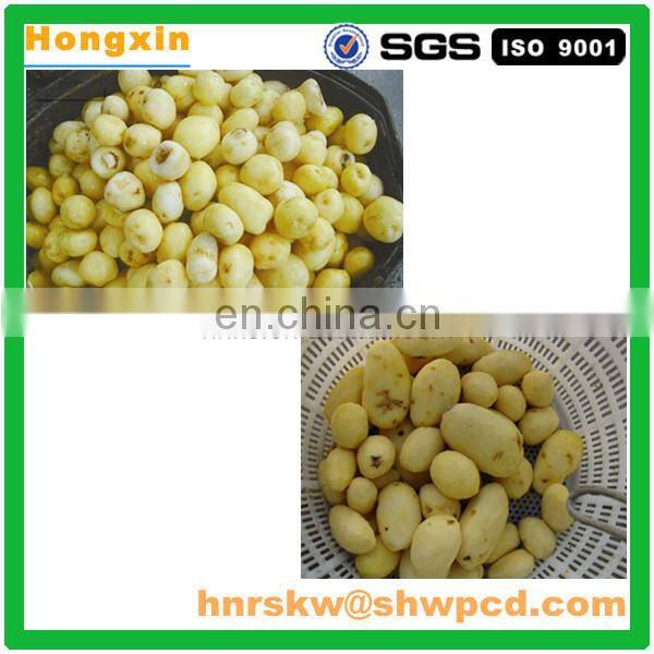 Industrial potato peeling and cutting machine potato washer potato peeler and cutter