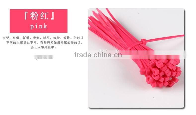 4'' 6'' 8'' 10'' Length Nylon66 Plastic Cable Tie Size