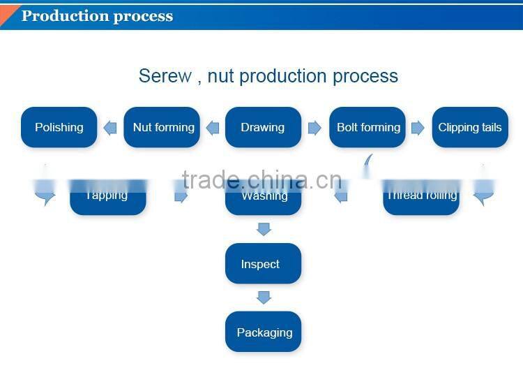 nonstandard stainless steel screw