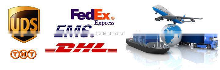 modular 16 inch pizza oven with stone floor baking