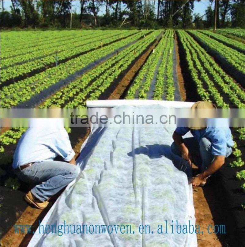 100% Polypropylene spunbonded nonwoven fabric rolls with price