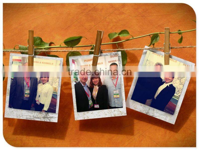 pumpkin seeds/Shine Skin Pumpkin Seeds Price