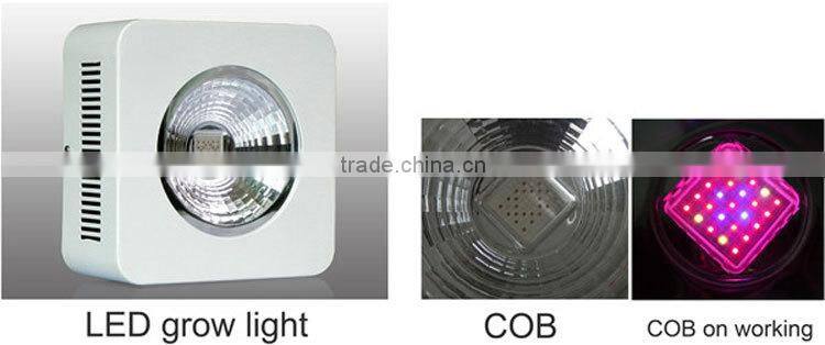 64*3W Greenhouse LED Grow Light 450w led grow light