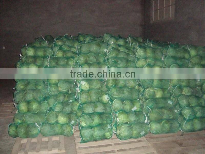VIETNAM FRESH CABBAGE