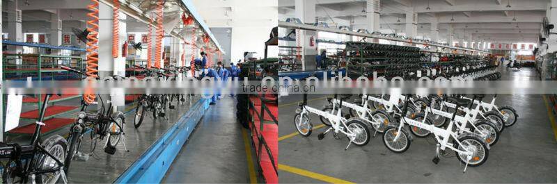 Popular Foldable e-bike XY-EB003F