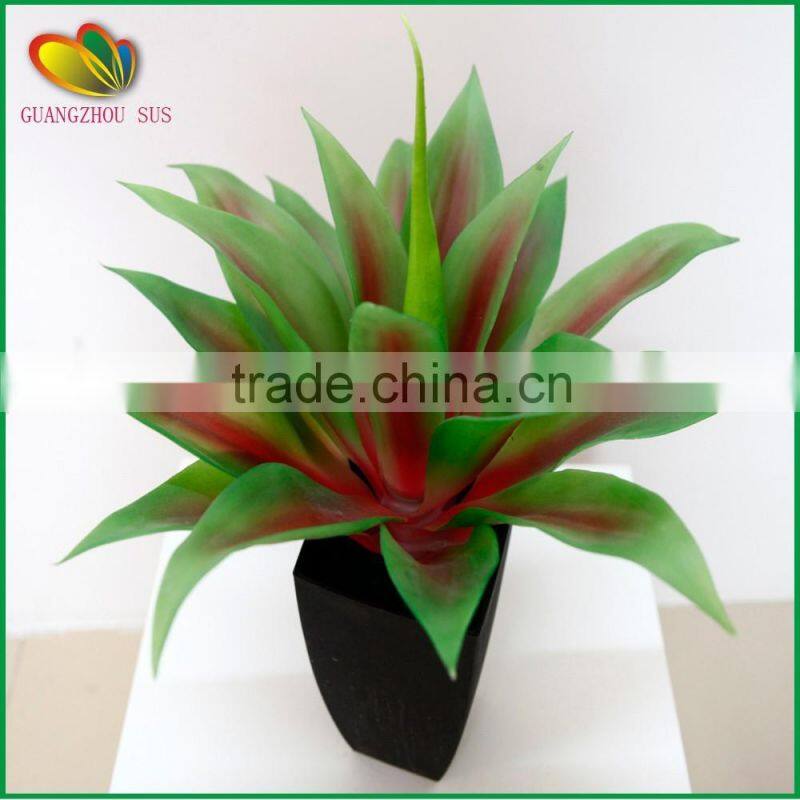 wholesale high quality cheap mini yucca plant bonsai tree for sale