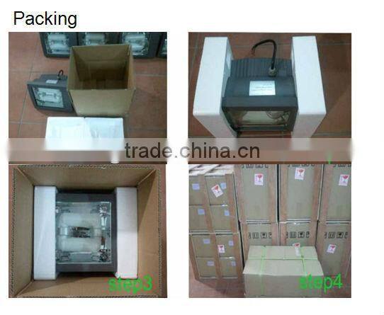 China top ten manufacturer of LED wall light 80W