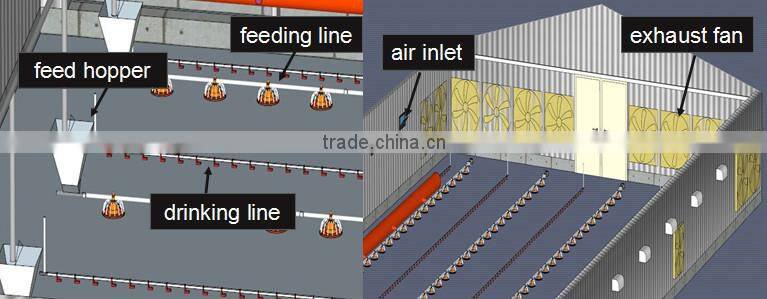 broiler ground raising equipment chicken house