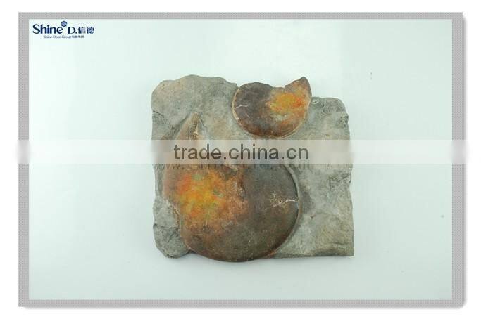 modern wall decor ocean animal fossil wall hanging decoration