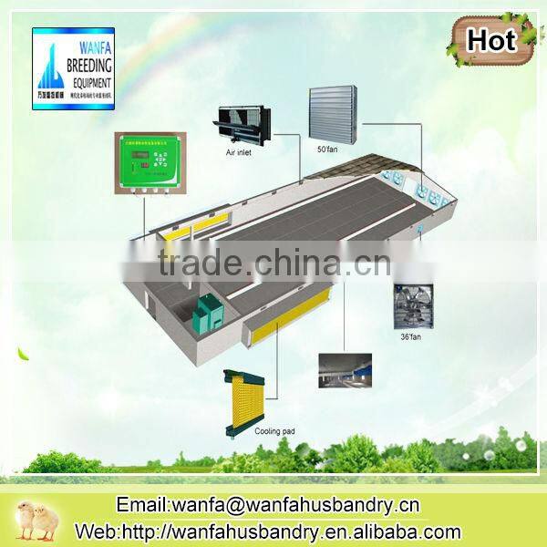 new style automatic chicken feeding system