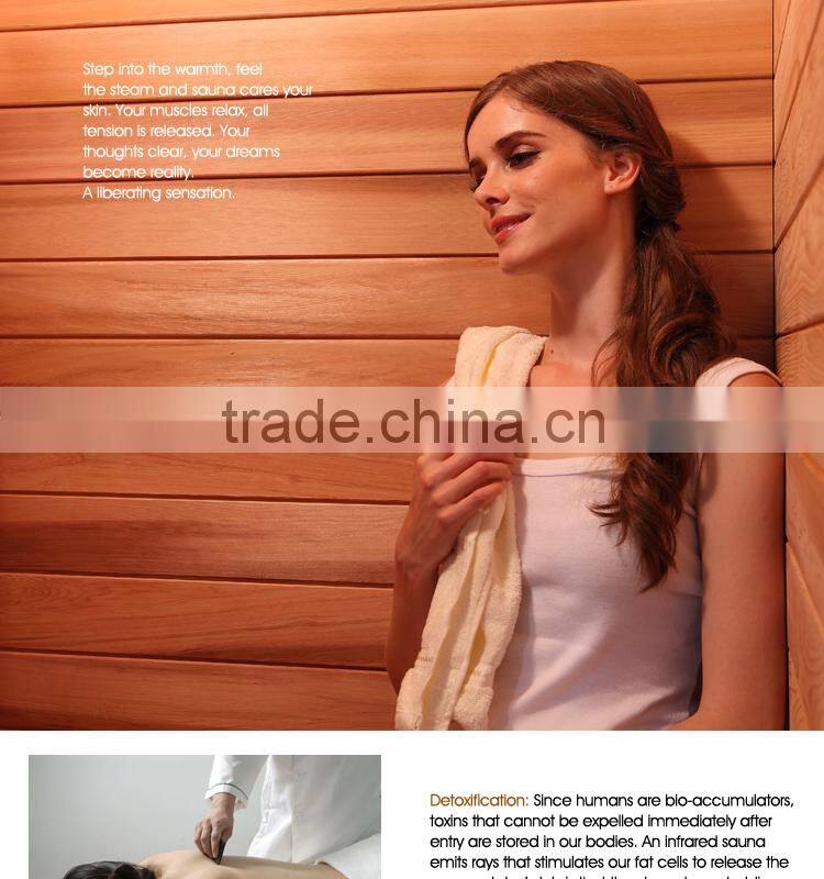 CRW AG0012 computer steam sauna room