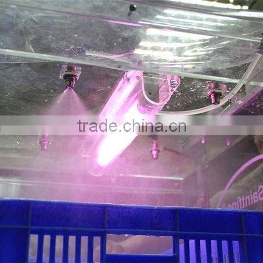 Day-Old Chick Spray Vaccination Poultry