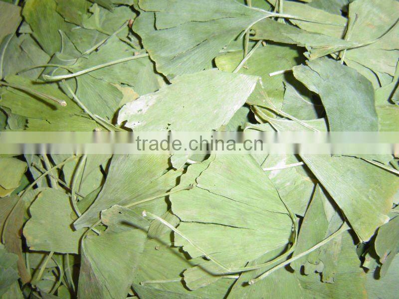 Ginkgo Biloba Extracts