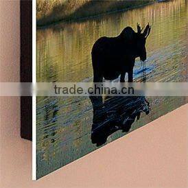 2017 hot sale home decor decorative plexiglass wall panels & acrylic title