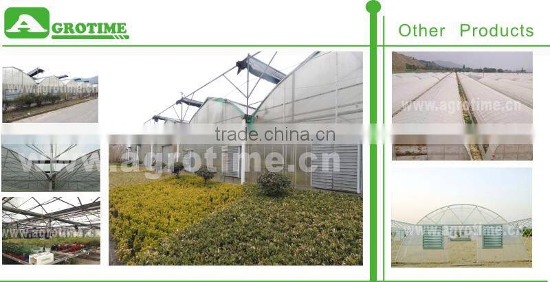 PC sheet covered greenhouse from big greenhouse manufacturer in China