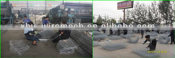 Weave poultry netting