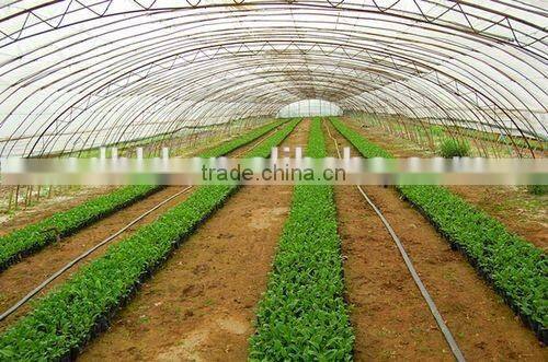 BLD Tunnel Plastic Film Greenhouse