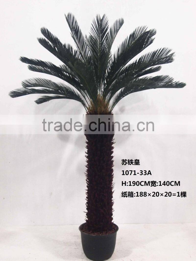 1071-32 plastic pot cycads tree